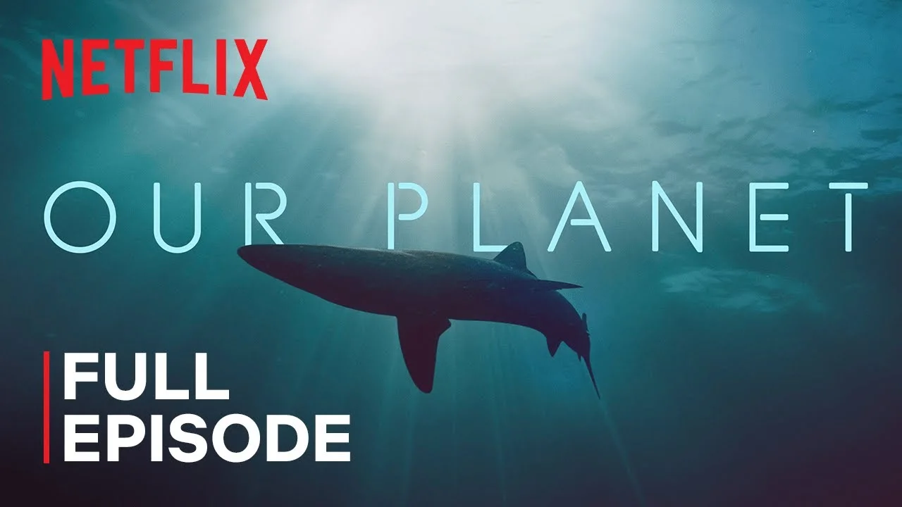 Miniatura del documental Our Planet: Coastal Seas